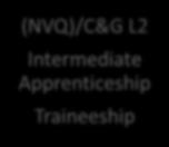 Advanced Apprenticeship Traineeship