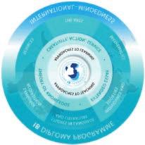 International Baccalaureate Diploma Programme Curriculum Framework As illustrated at below left, the IB Diploma Programme curriculum framework consists of courses in six groups, which are offered