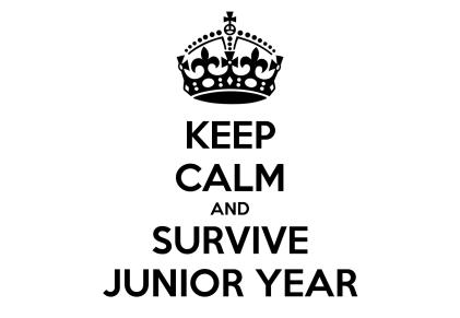 Prioritizing for Junior Year Juniors should be Working on their CAS hours and documenting them in Managebac Bringing as many completed community service hours as possible to Mrs.