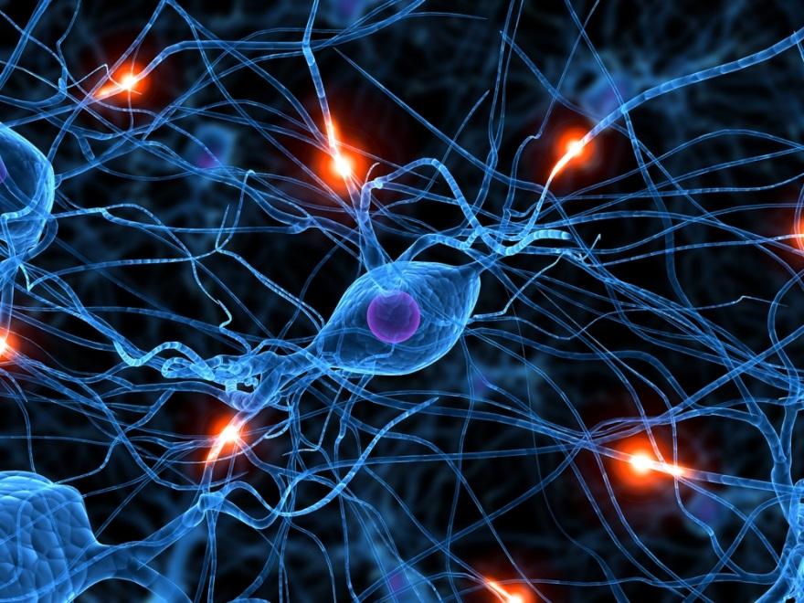 Human brain 100 billion neurons 100 to 500 trillion synapses ARTIFICIAL