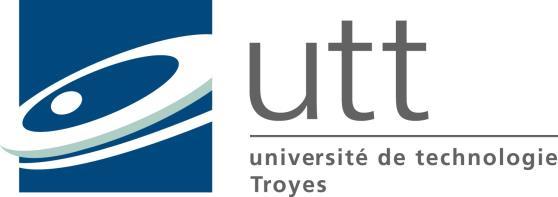 Université de Technologie de Troyes (France) 11 th UTT SUMMER PROGRAM for NTU students