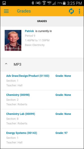 Grades View Grades view shows any available traditional and/or descriptor grades for the current school year, including comments and final averages.