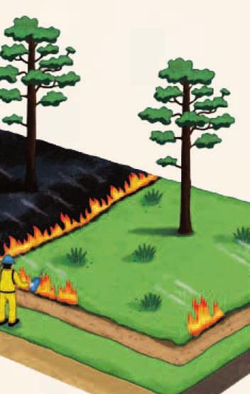 Controlled burns can involve nontraditional tools such as flaming arrows, flare guns or