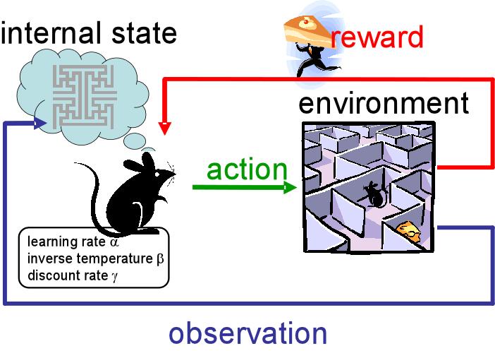Reinforcement Learning Task The agent has to learn a policy that