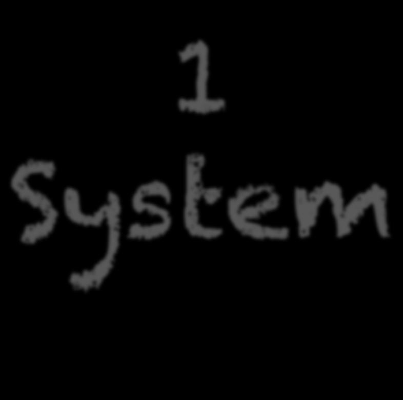 1 System