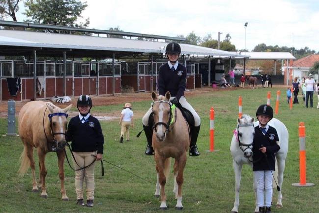 They came 7th overall. Highlights were Holi taking out Champion in dressage and Tijana taking out Reserve Champion in show jumping.