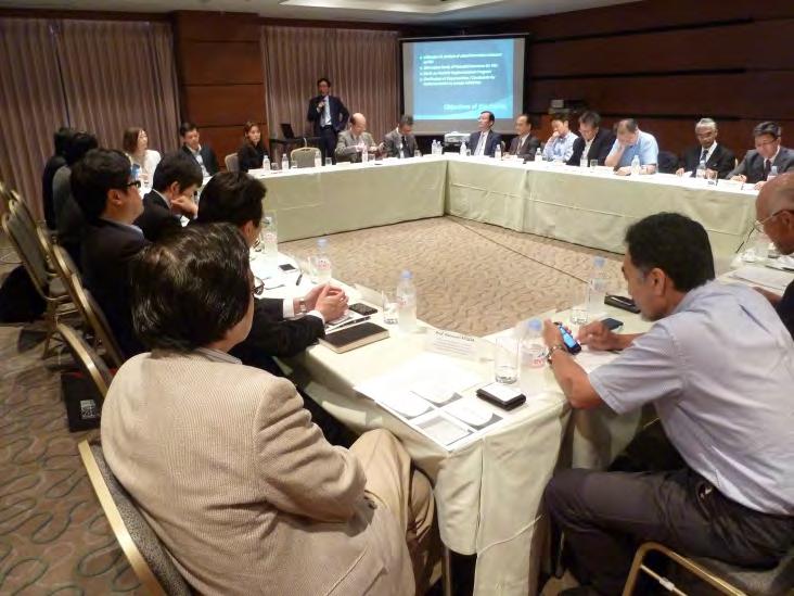 Appendix B2 Pictures of Interim Report Meeting II Tokyo, June