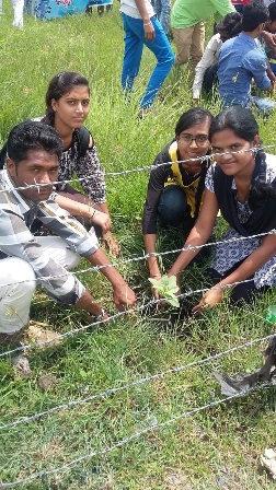 Important Events Tree Plantation Three programs on 28th August of plantation were organized under the Campus Development Program. More than 500 plants were planted in the campus.