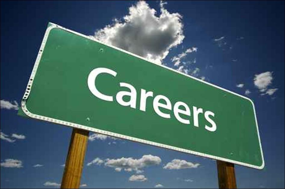 Information specific for Y13 Individual careers meetings Students can request a careers meeting with Dr Hall.