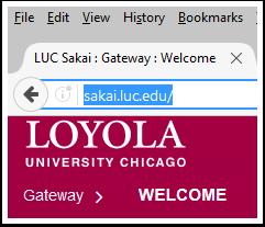 How do I log into Sakai and what if I forget my password?