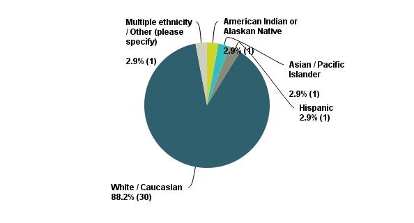 Q32: Which race/ethnicity best describes you?