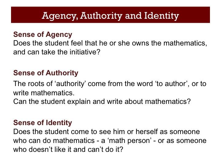 They emphasize that understanding a mathematical topic means students can use the concept to make sense, reason, construct arguments, and solve non-routine problems. This is an optional slide.