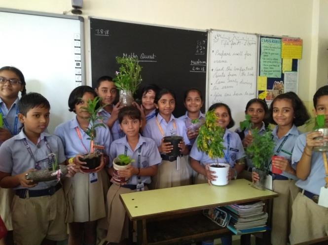 Our Green Brigade of Class 4 and 5 encouraged students to create fresh