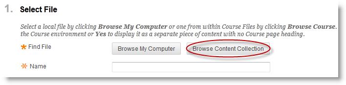4. In step 1 Select File, click the Browse Content Collection button.