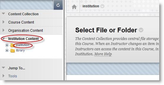 Click Institution Content on the left-hand panel to reveal the file structure, then click on the institution folder name.