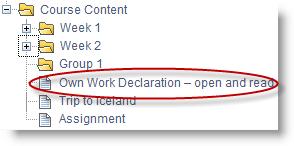 Click on the Own Work Declaration document to select it. 4. Click Submit. 5. You will be returned to your course content area, where you will see the Turnitin assignment with adaptive release enabled.