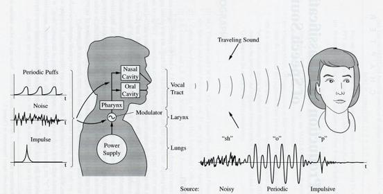 Speech production and modeling Quatieri: Discrete Time Speech Signal Processing