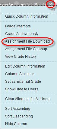 DOWNLOADING ASSIGNMENTS You can download assignment submissions to review them offline instead of reviewing them online in the Grade Center.