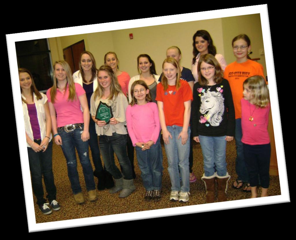 THE LOREM IPSUMS WINTER 2016 4-H Achievement Program This program provides awards and recognition for Outstanding 4-H ers and Clubs from the 2012 Year. See descriptions for these awards below.