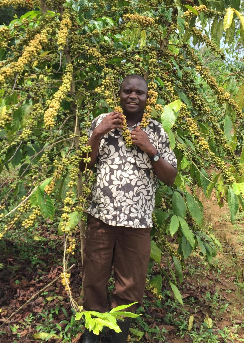 NUCAFE is sustainable market-driven system of coffee farmer organizations which improves household incomes in 19 districts of Uganda and operates across the entire coffee value chain.