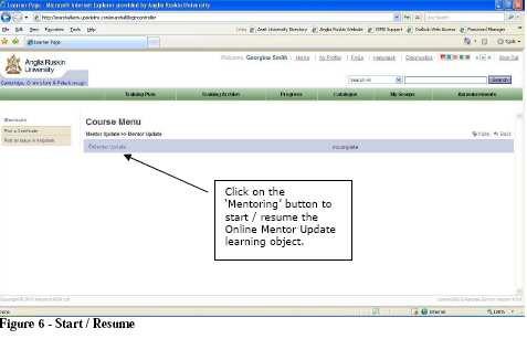 Click on the Mentoring button to start / resume the Online Mentor Update learning object.