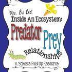https://www.pinterest.com/pin/249809110554164533/ (Activity 2) This would be a fun cut and fold up activity for the children to complete that demonstrates the relationship between predator and prey.