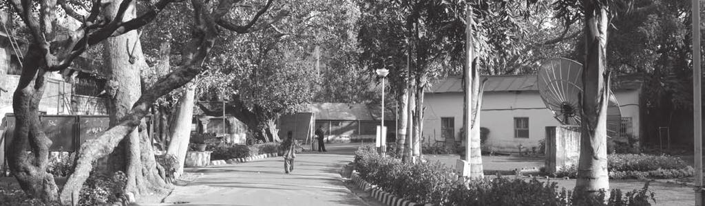 School of Business, Public Policy & Social Entrepreneurship Ambedkar University Delhi Lothian Road, Kashmere Gate, Delhi 11006