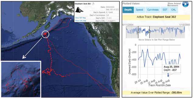 FIGURE 4 Investigating elephant seal migrations in Ocean Tracks.