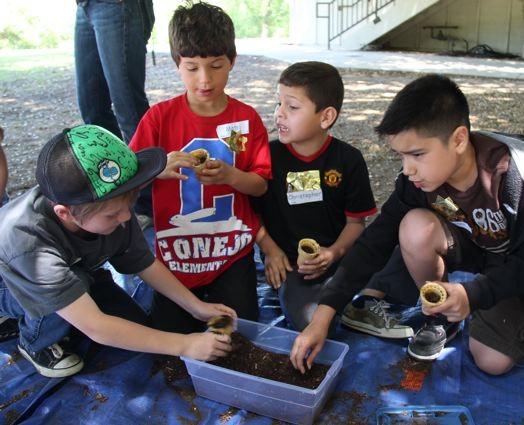 Rooted in the Past, Innovation for the Future Field trip to adopted oak tree bridges Fall Festival to Stepping Up Inspired by Fall Festival's Roots theme,
