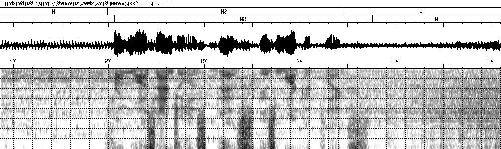 Figure 1: Spectrograms illustrating segmentations of sequences extracted from a MarketPlace radio broadcast.