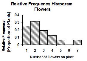 Vertical axis can be frequency or can be relative frequency. EXAMPLE 1: Individual Data Values (ungrouped data) Plants are being studied in a lab experiment.