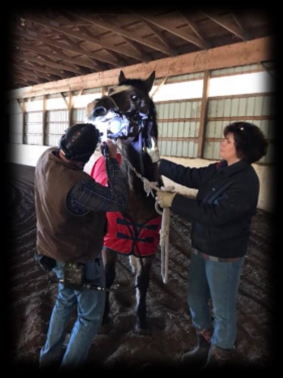 Congratulations to Farm Central for a successful show Equine Dental Clinic March 26th Norma Maxwell Opened her