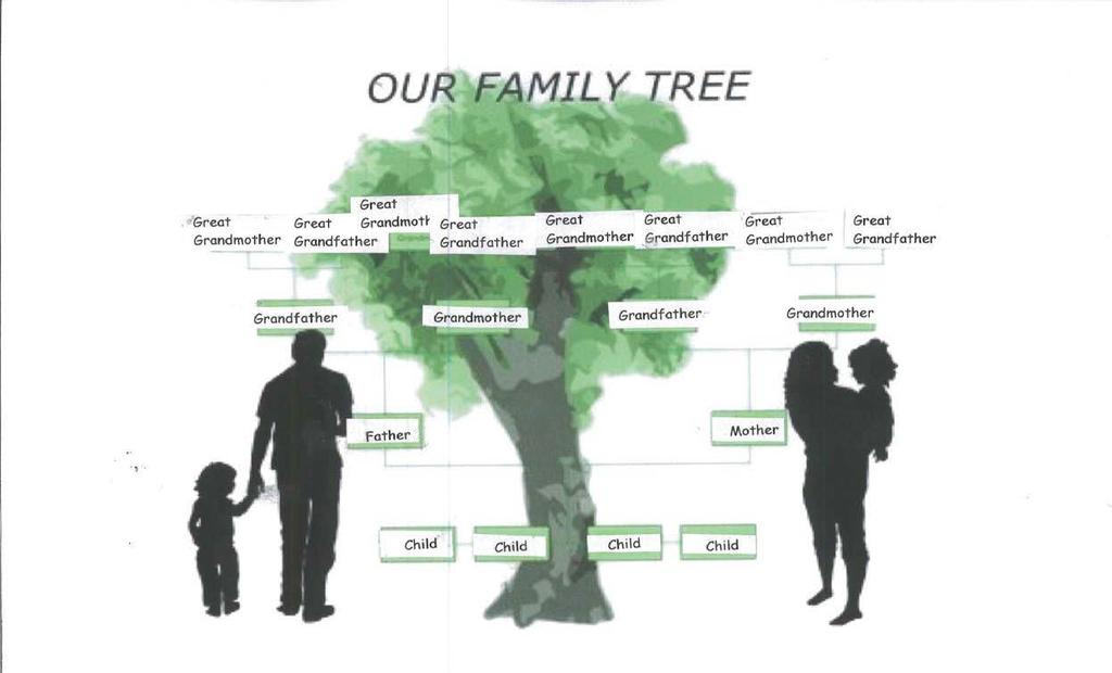 TASK 3 Look at the family tree.