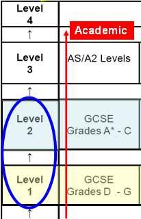 Academic GCSE courses are academic qualifications.