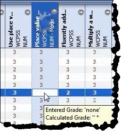 Manually Enter Grades Not Calculated by the System While reviewing final grades for each class, you MUST manually enter any final grades that have not been calculated by the system.