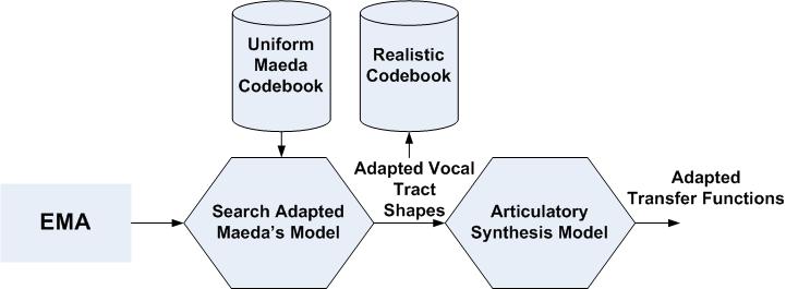Creating a Realistic Codebook and Adapted Articulatory