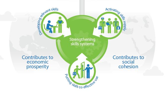The OECD Skills Strategy: 3 pillars