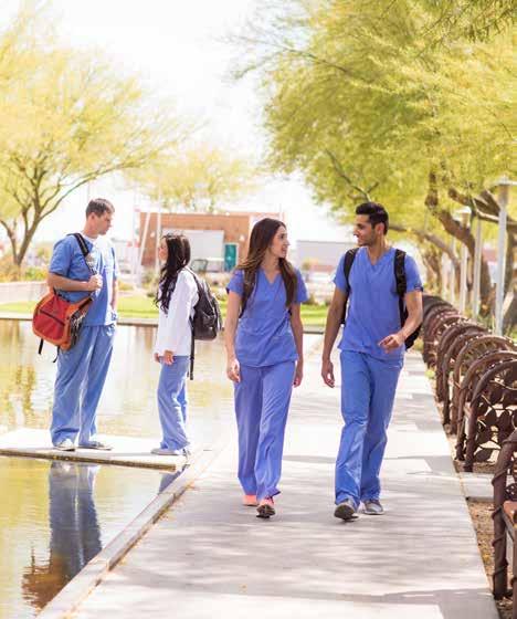 Midwestern University Embraces One Health as a Core Component of Healthcare Education On its two campuses in Downers Grove, Illinois, and Glendale, Arizona, Midwestern University educates more than