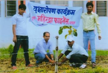 The programme of plantation was