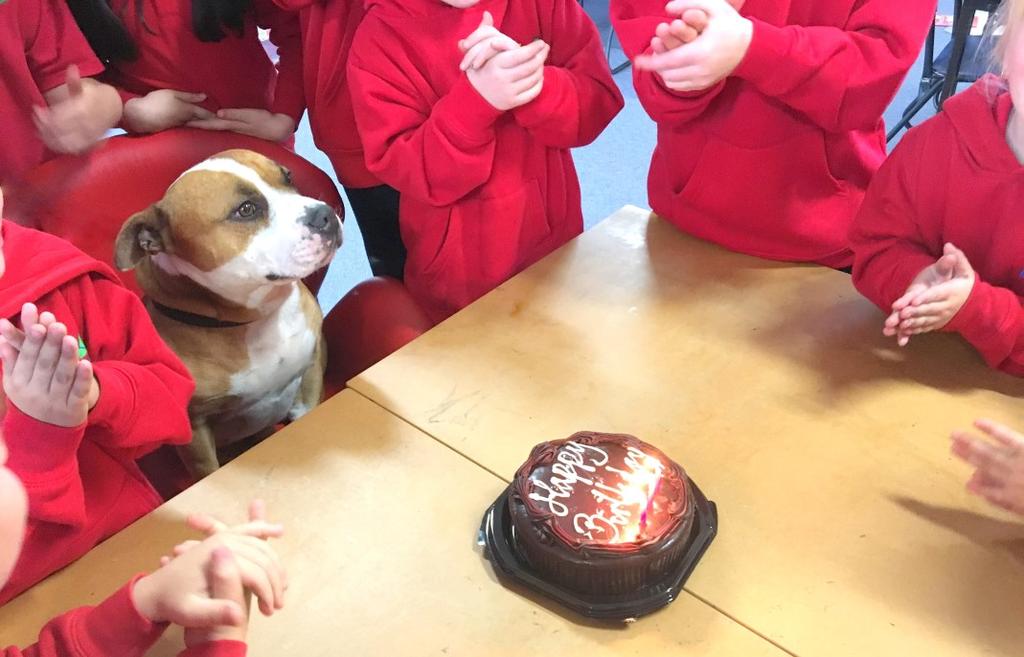 Happy 3rd Birthday to Grip! Anthony s dog Grip is a regular visitor to the school. The students love having him around in and out of the classroom.