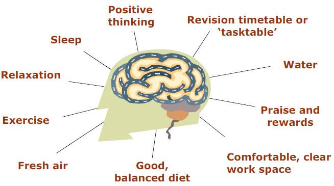 10 ways to keep the brain happy (& productive!