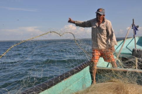 + Introduction Aquaculture and small-scale fisheries provide a major source of