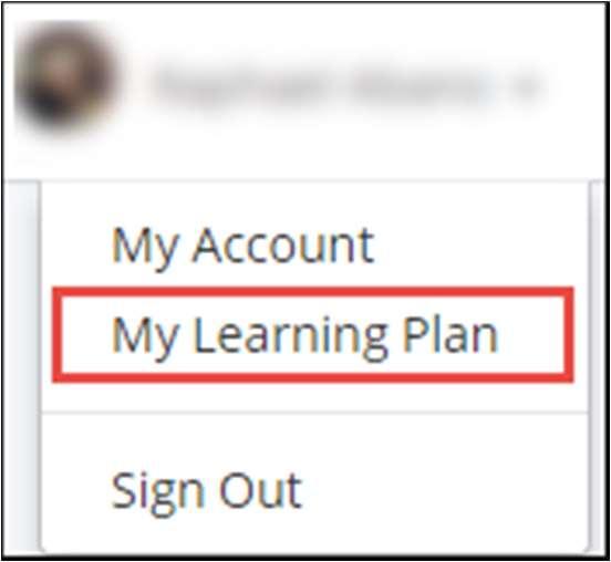 To find your Learning Paths, you must go to My Learning Plan page.
