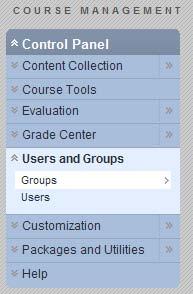 Once you have chosen to create either one group or multiple groups with the same setting, you have the option to enroll students into the groups using Self Enrollment, Manual Enrollment, or Random