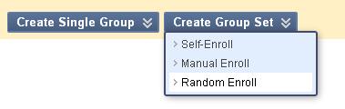 Create Group Set with Manual Enroll If you selected Create Group Set AND Random Enroll see Section 0 - Click Submit when you have finished adding members to this group set.