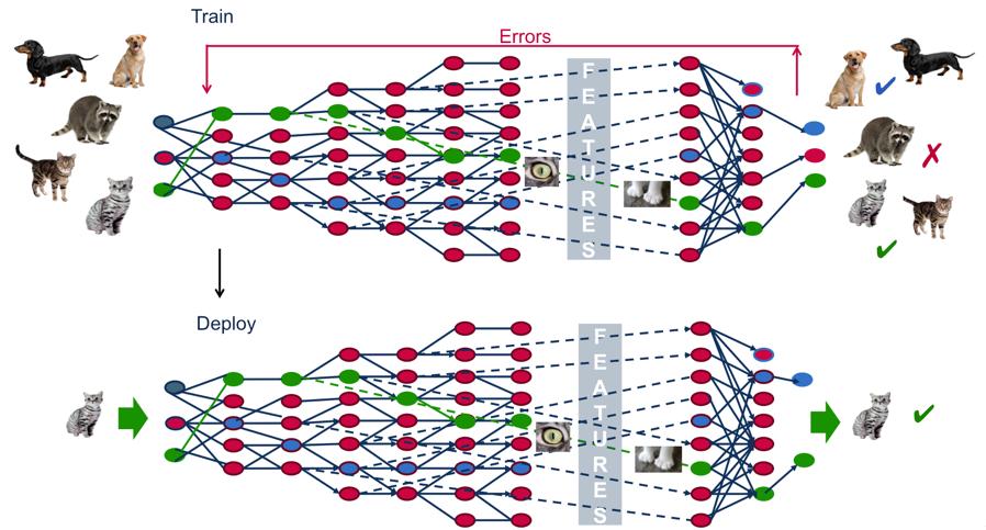 Neural Nets and Deep Learning picture from: