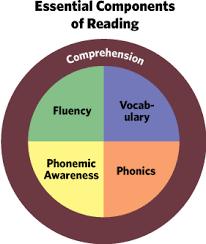Five Components of Reading 5