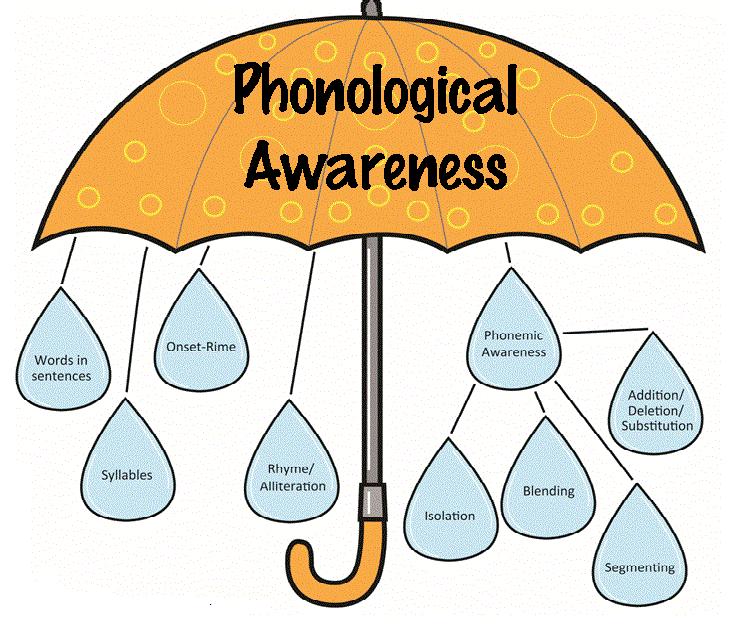 Phonological Awareness and Phonemic Awareness Phonological awareness encompasses a wide range of skills that lead to and include phoneme awareness 7 Phonological Awareness and Phonemic Awareness