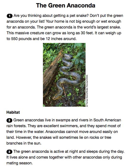 Informational Selection, Grades 8 9, Advanced In this advanced selection, the ELL reads about the green anaconda.