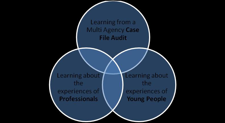 2.4 Analysis of Safeguarding Self-Assessment Safeguarding self-assessment is an essential part of the Learning and